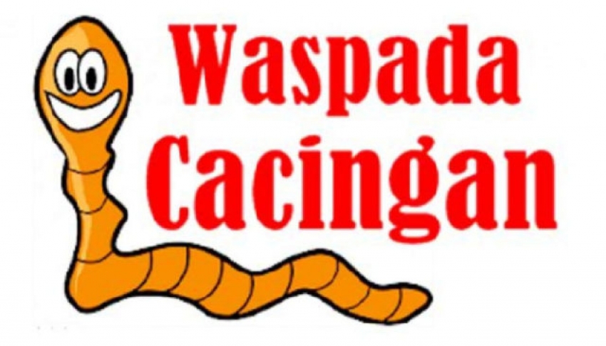 Waspada Cacingan