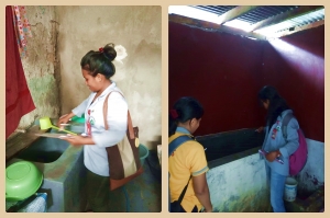 Kegiatan Pemantauan Jentik